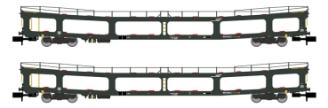 HN4411 Arnold 2-teiliges Set Autotransportwagen DD DEV 66 der SNCF